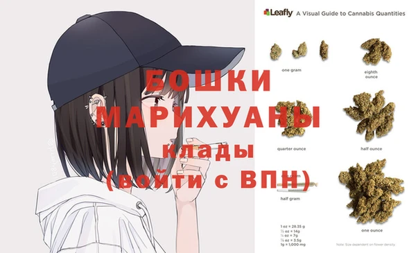 шишки Аркадак