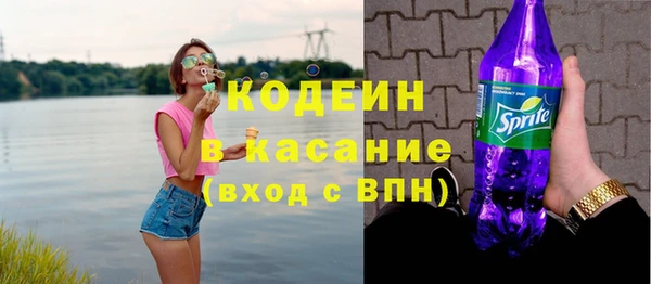 шишки Аркадак