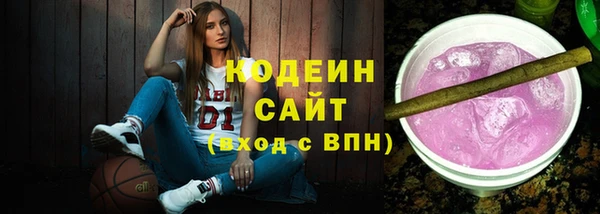 шишки Аркадак